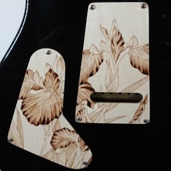 Duo de plaques arrière "Iris" (PRS CE-24)